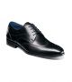 Stacy Adams Brayden Wingtip Oxford in Black (25635-001)