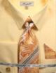 Fratello Men's Solid Dress Shirt Set in Banana (FRV4148P2-1)