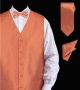 Daniel Ellissa Twill Textured Vest Set in Rust (VS802-4)