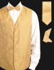 Daniel Ellissa Shiney Paisley JQD Pattern Vest Set in Mustard (VS806-3)