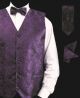 Daniel Ellissa Pattern Vest Set in Purple (VS809-3)